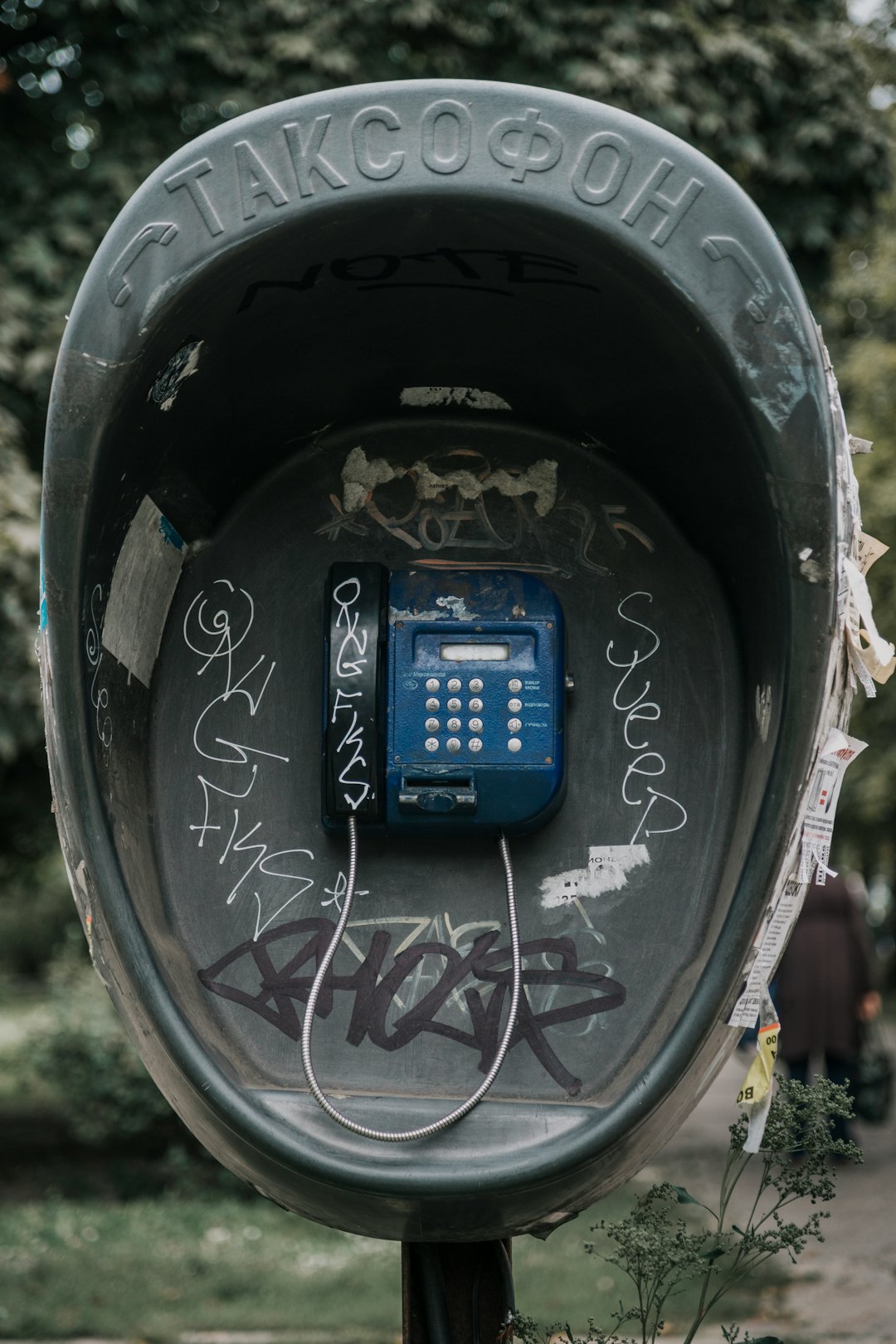 Track Daily Expenses